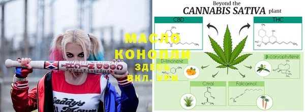 дживик Абаза