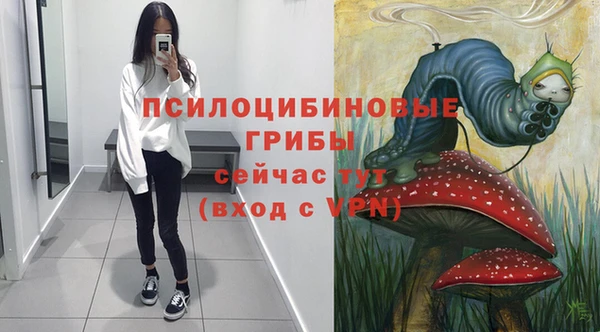 соль ск Алексеевка