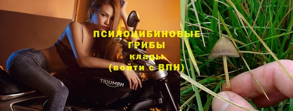 прущий лед Магас