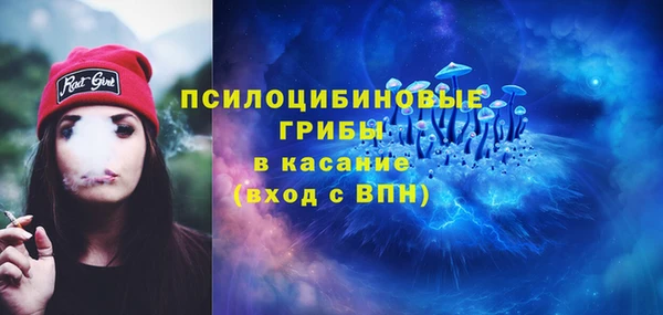 крисы Магадан