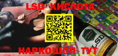 PSILOCYBIN Кунгур