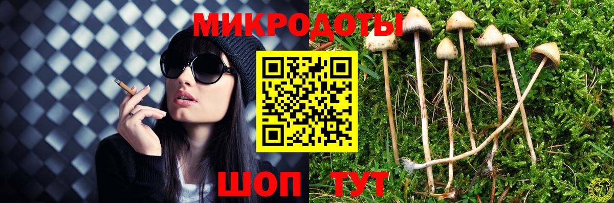 Галлюциногенные грибы Psilocybe Ишимбай