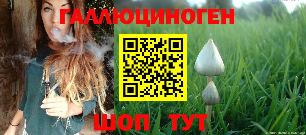Ишимбай  купить наркотик  Вход с VPN  Галлюциногенные грибы GOLDEN TEACHER  Галлюциногенные грибы мицелий 